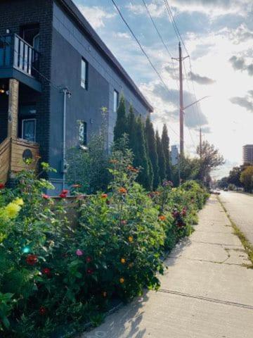 Lovely III 3 Bedrooms Apartment Space Share East York A Room Toronto Exterior foto